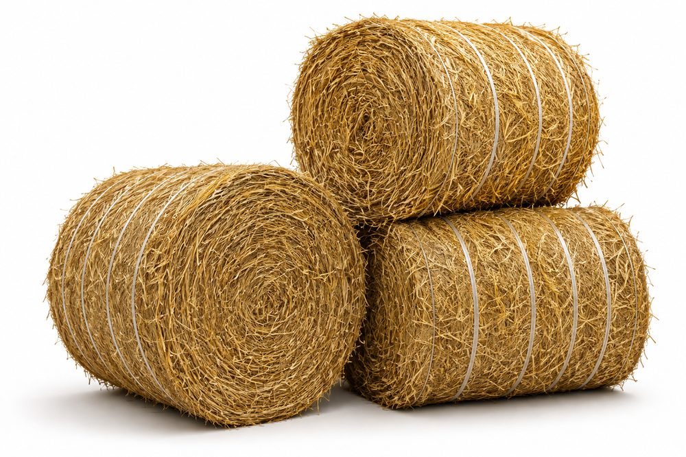 Raw biomass